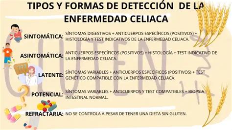 Infografía comparativa de los síntomas y mecanismos de la Enfermedad Celíaca, Sensibilidad al Gluten No Celíaca y Alergia al Trigo