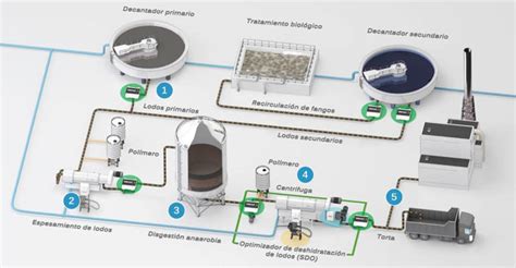 Esquema de una planta de procesamiento de nueces destacando la separación de la cáscara para uso industrial