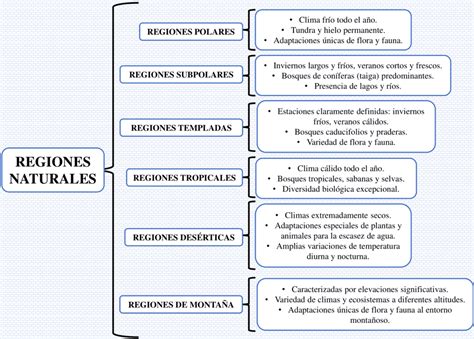 Esquema de las regiones chinas y sus cocinas principales
