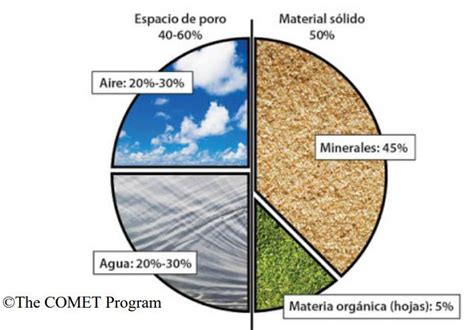 Infografía: Composición ideal del suelo para alcachofas