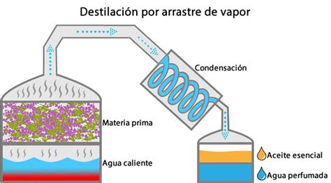 Esquema general de los métodos de extracción de aceites esenciales: destilación, presión y maceración.