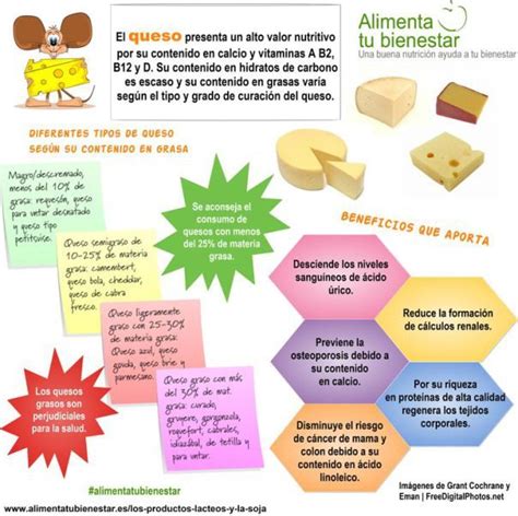 Infografía sobre los beneficios nutricionales del queso.