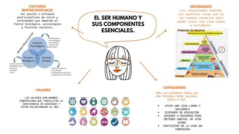 Infografía mostrando los cinco componentes esenciales del ramen
