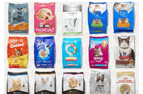 Variedad de tipos de alimentos para gatos: pienso seco, latas y sobres húmedos