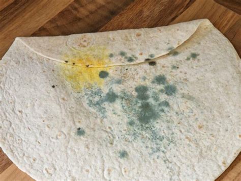 Tortilla con pequeñas manchas de moho, señalando que no debe consumirse