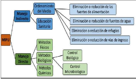 Esquema de las etapas del Manejo Integrado de Plagas (MIP)