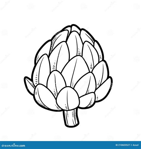 Dibujo botánico o infografía de la planta de alcachofa, mostrando sus partes: tallos, hojas y la flor comestible.