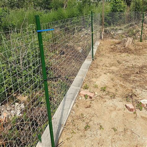 Ejemplo de cercado robusto para cabras, con postes altos y malla resistente.