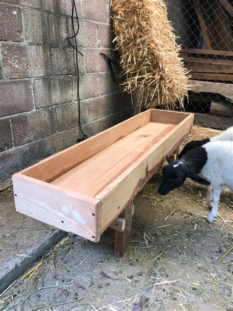 Comedero rústico para cabras, construido con madera, con diseño elevado para facilitar el acceso.