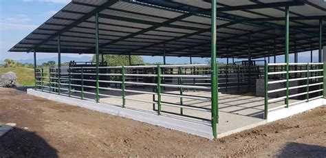Diseño de corral tropical suspendido, mostrando la plataforma elevada y pilares de soporte.