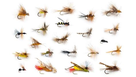 Diferentes tipos de moscas para la pesca de salmón
