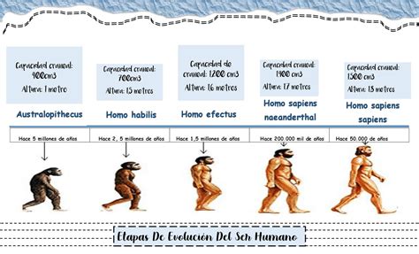 Representación de la evolución dietética humana
