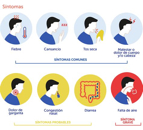 Gráfico informativo sobre síntomas y prevención del COVID-19 para grupos de riesgo