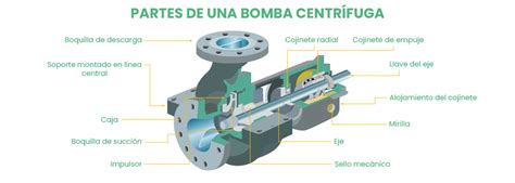 Diagrama de una bomba de tubería con sus componentes