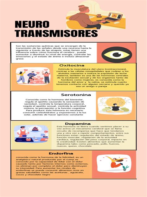 Infografía que muestra los neurotransmisores clave y sus funciones relacionadas con el sueño y el estrés