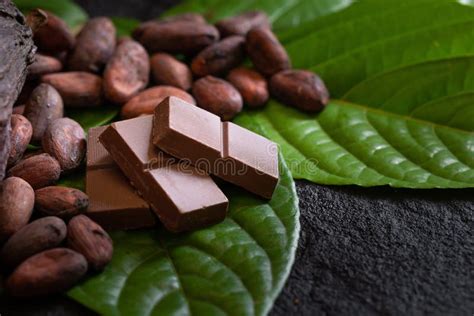 Granos de cacao y barra de chocolate