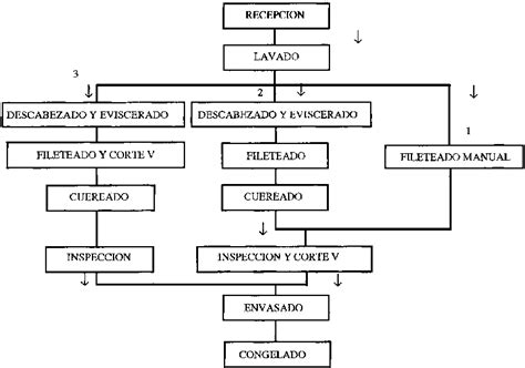 Diagrama comparativo de fileteado manual y mecánico de pescado
