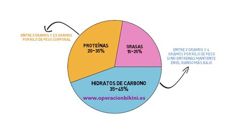 Gráfico circular mostrando la distribución de macronutrientes en 100g de maíz dulce enlatado