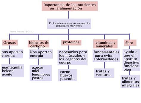 Esquema de alimentos vegetales y fuentes de nutrientes clave para deportistas