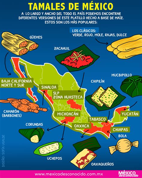 Mapa de México destacando las regiones con variedades de tamales