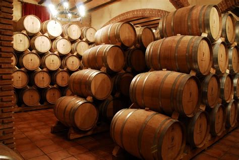Fotografía artística de las bodegas de añejamiento con barriles de roble blanco colombiano en un entorno de bosque de niebla