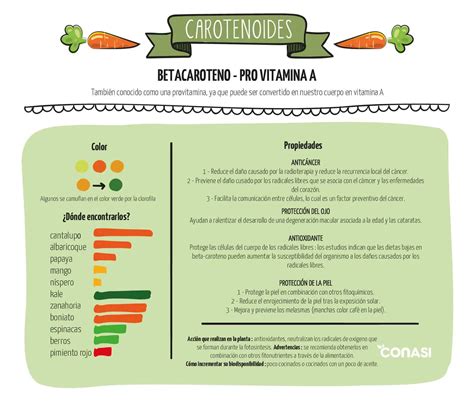 Infografía de los colores y propiedades de los betacarotenos