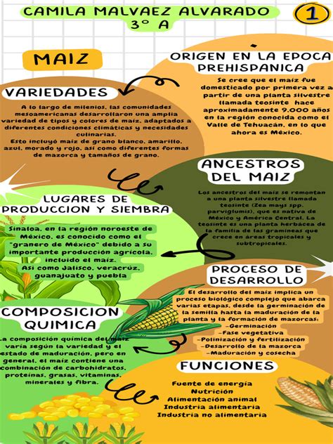 Infografía del proceso de elaboración artesanal de palomitas de maíz en Garrett Popcorn Shops, mostrando los calderos de cobre y los ingredientes.