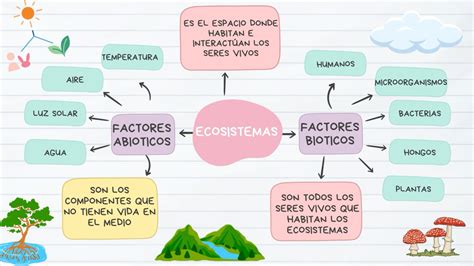 esquema de los componentes del queso y factores que afectan su conservación
