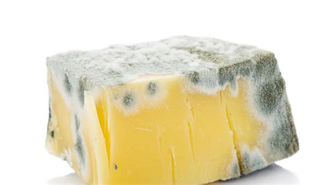 queso duro con una sección de moho cortada