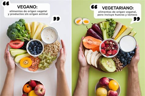 Infografía comparativa dieta vegana vs. vegetariana y sus alimentos permitidos