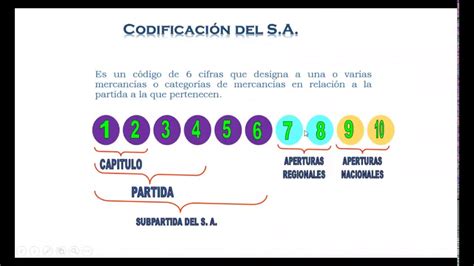 Esquema de la estructura de un código arancelario (nomenclatura arancelaria)