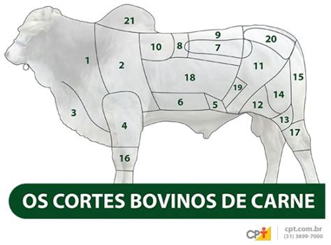 Infografía mostrando diferentes cortes de carne bovina congelada deshuesada