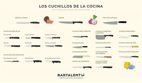 Ilustración variada de cuchillos de cocina con sus nombres y usos.