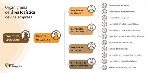 Esquema de un organigrama de logística con el jefe de bodega en una posición clave