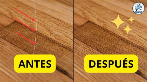 Esquema de las causas más comunes de rayones en suelos de madera: arrastre de muebles, mascotas y zapatos