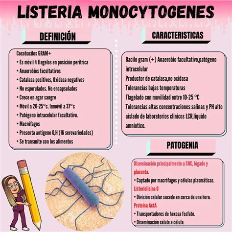 Infografía sobre la bacteria Listeria monocytogenes y sus efectos