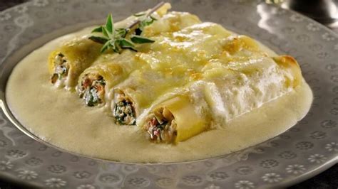 Canelones recién horneados con salsa blanca y perejil