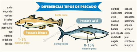 Infografía comparativa de peces magros y grasos con ejemplos