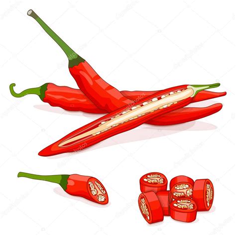 Ilustración de pimientos de cayena frescos y secos, mostrando su forma alargada y color rojo intenso.