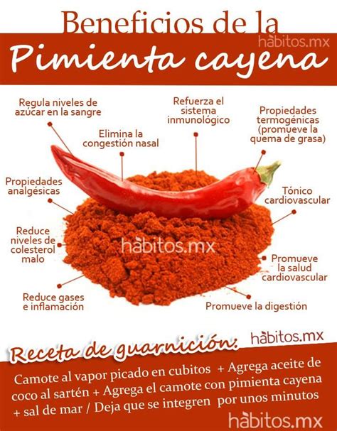 Infografía detallando los beneficios de la pimienta de cayena para la salud, con iconos representativos para cada beneficio.