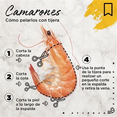 Infografía detallada sobre cómo identificar camarones frescos: color, olor, textura, estado de la cabeza y ojos