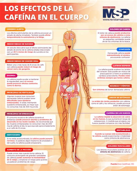Infografía comparando efectos de cafeína y THC