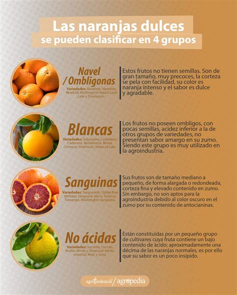 Variedades de naranjas y aguacates para ensalada
