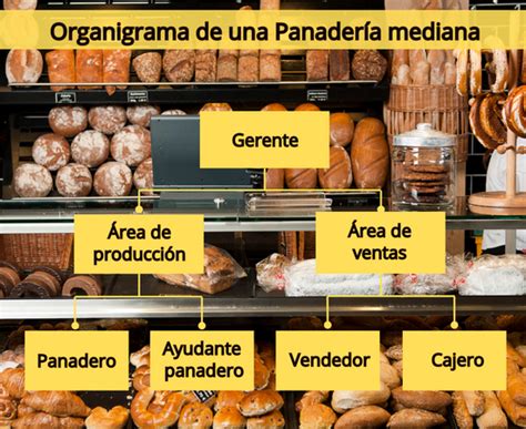 Esquema de un flujo de producción eficiente en una panadería, desde la recepción de materias primas hasta la venta final