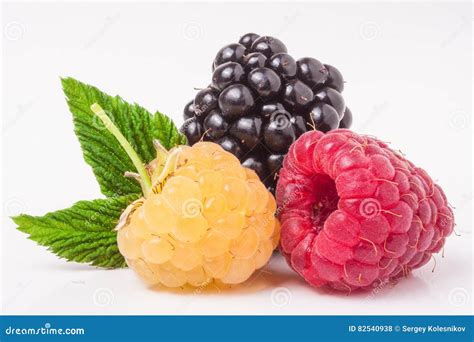 Comparación visual de frambuesas y zarzamoras