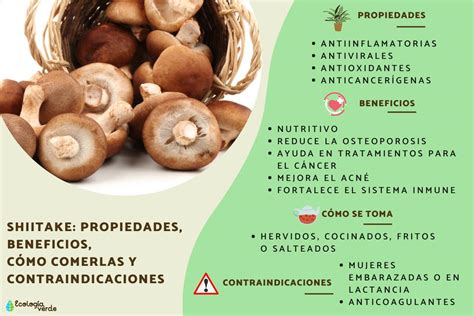 Gráfico nutricional de las setas shiitake destacando vitaminas y minerales