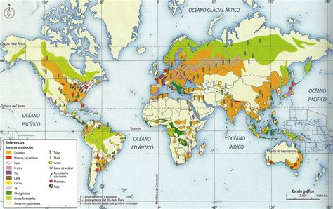 Mapa mundial destacando las principales regiones productoras y consumidoras de champiñones