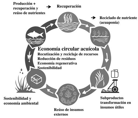Esquema de economía circular aplicada a la acuicultura y pesca