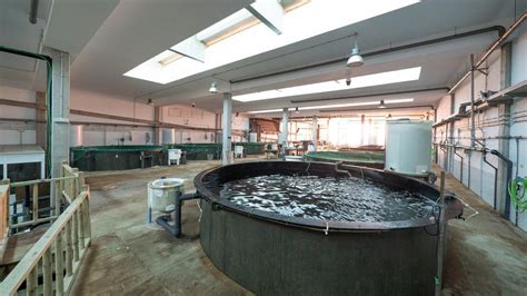 Fotografía de instalaciones acuícolas modernas con enfoque en sustentabilidad