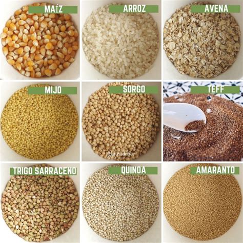 Imagen de varios granos libres de gluten como quinua, arroz y maíz.